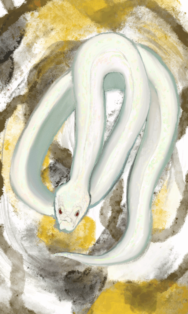 91bfe02ace532bee28130dd052a854