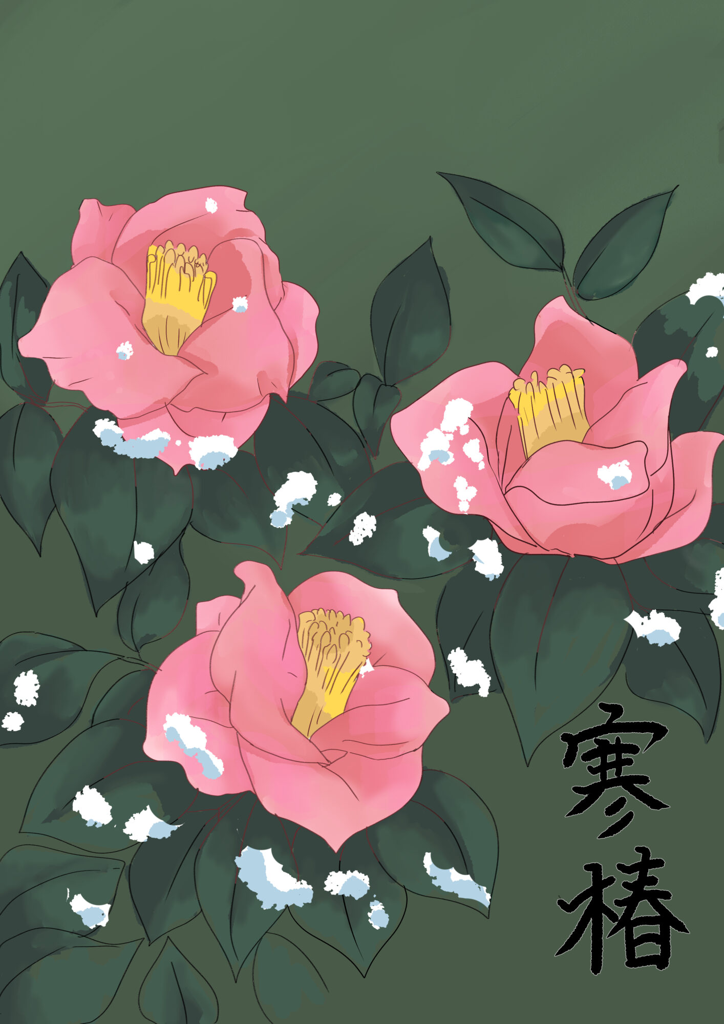 1月の花 寒椿 - novalue - 自分らしさで彩るメディア