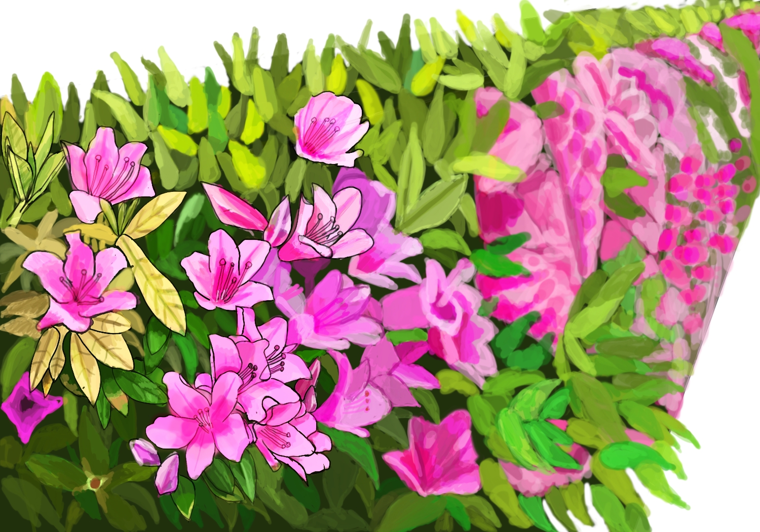 花の絵を描いてみました 【パート4】 - novalue - 自分らしさで彩る